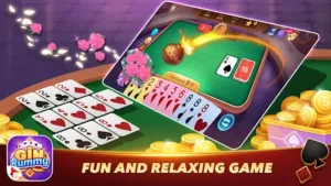 Rummy Gin 3