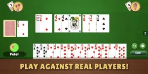 Rummy + 4