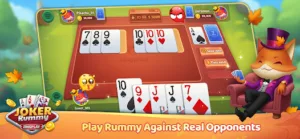 Gin Rummy Frenzy – Card Game 6