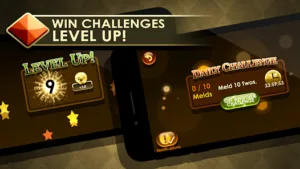 Gin Rummy Frenzy – Card Game 3